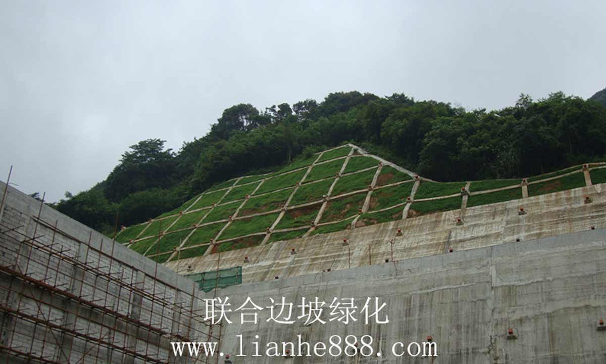 福建电站边坡复绿工程