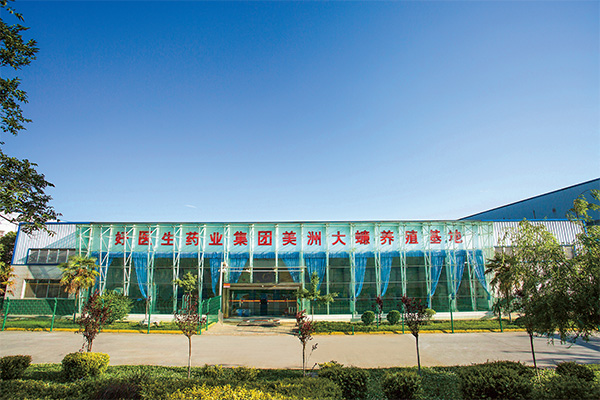 008PG国际(中国集团)-官方网站