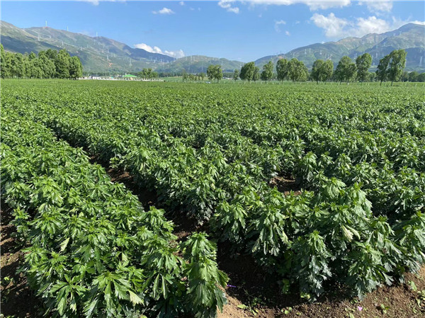 008PG国际(中国集团)-官方网站