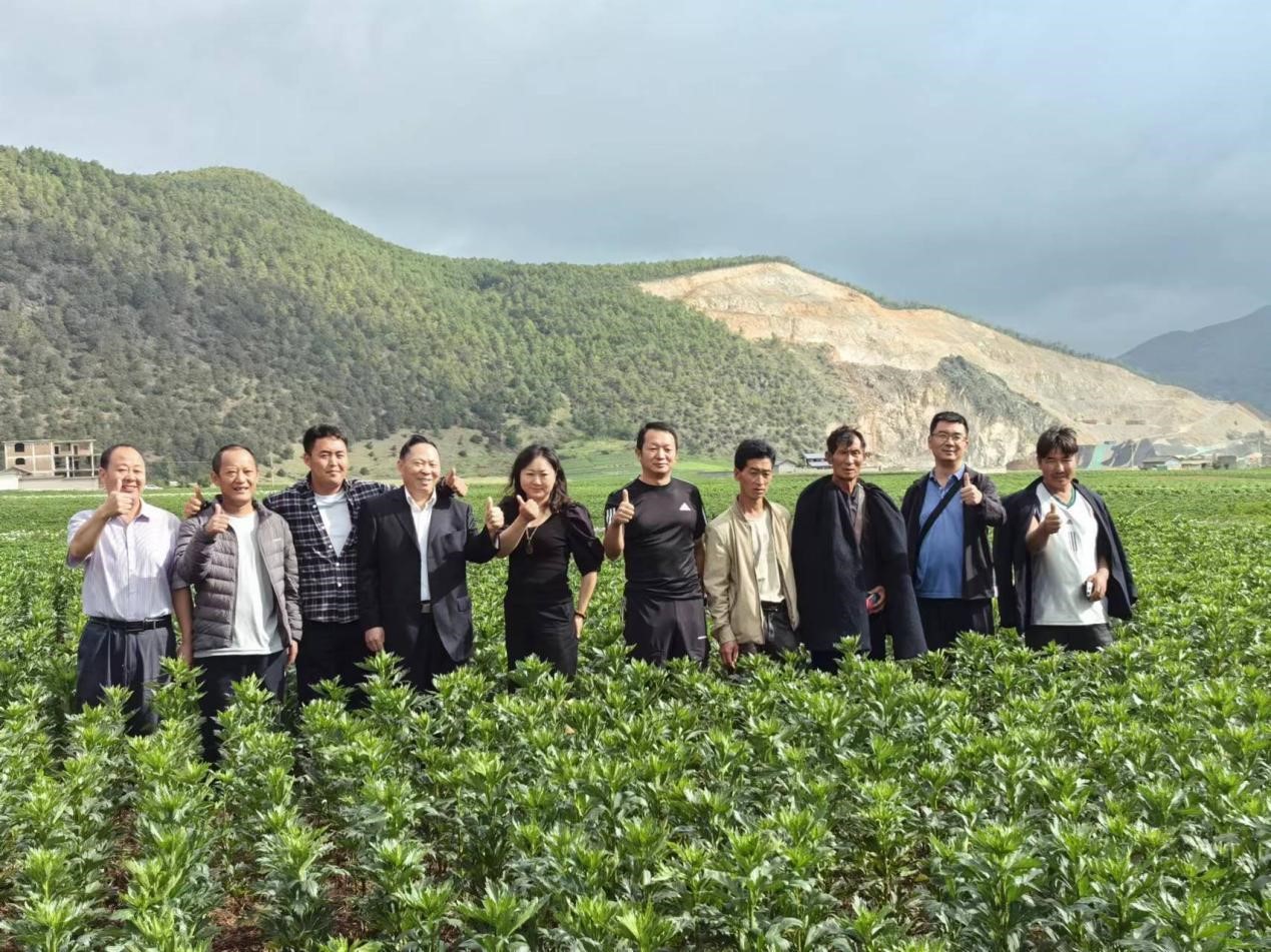 008PG国际(中国集团)-官方网站