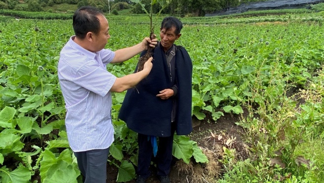 008PG国际(中国集团)-官方网站