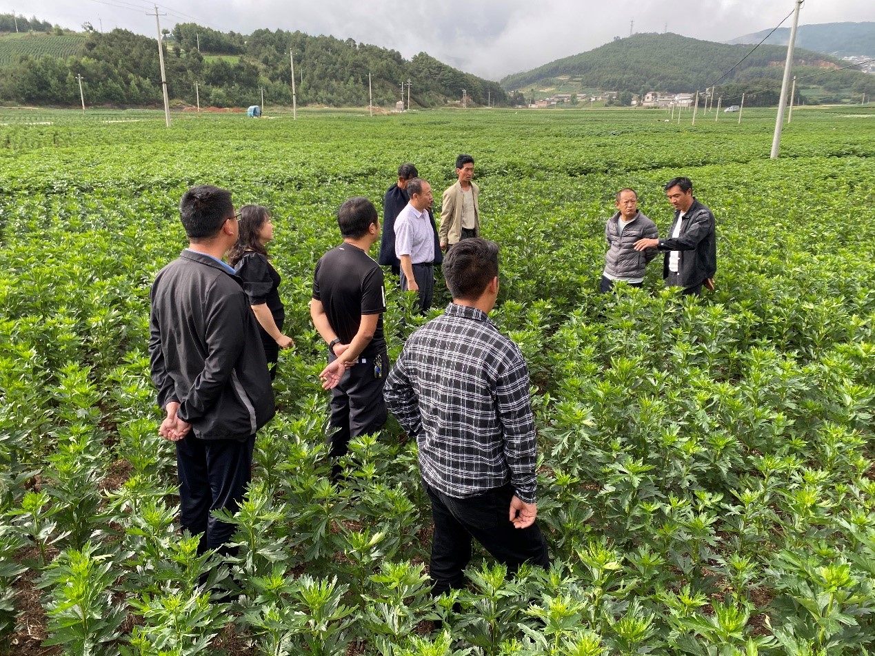 008PG国际(中国集团)-官方网站