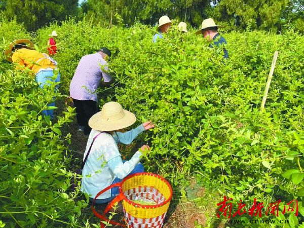 008PG国际(中国集团)-官方网站