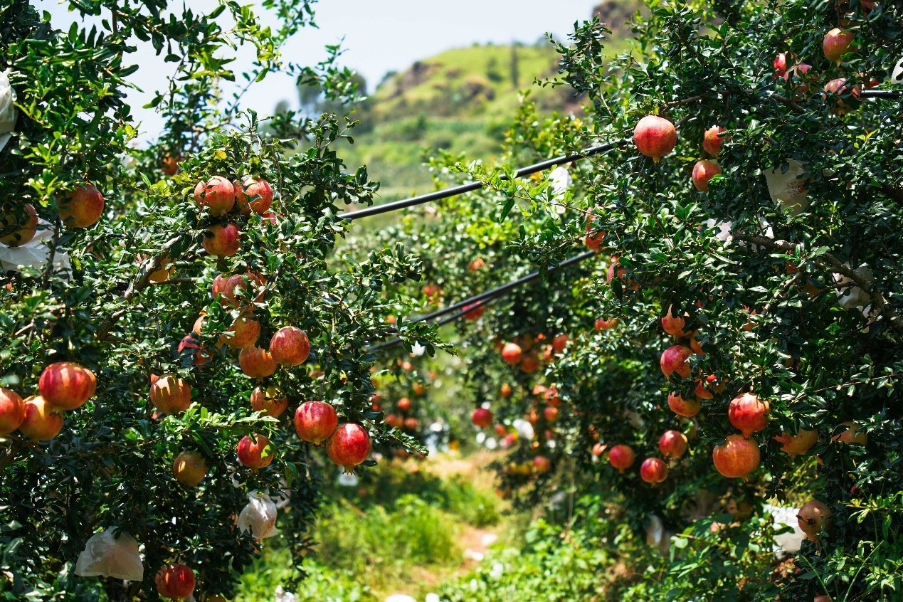 008PG国际(中国集团)-官方网站