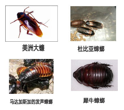 008PG国际(中国集团)-官方网站