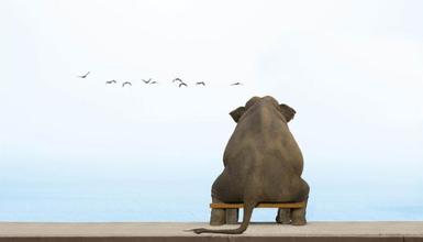 008PG国际(中国集团)-官方网站