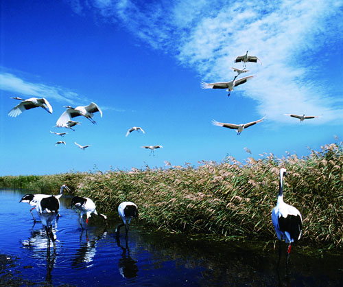 008PG国际(中国集团)-官方网站