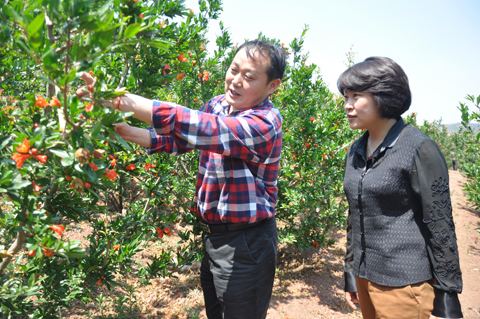 008PG国际(中国集团)-官方网站