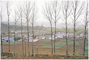 众人拾柴火焰高