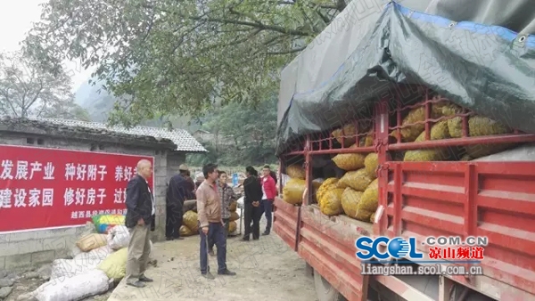 008PG国际(中国集团)-官方网站