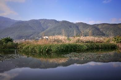 008PG国际(中国集团)-官方网站