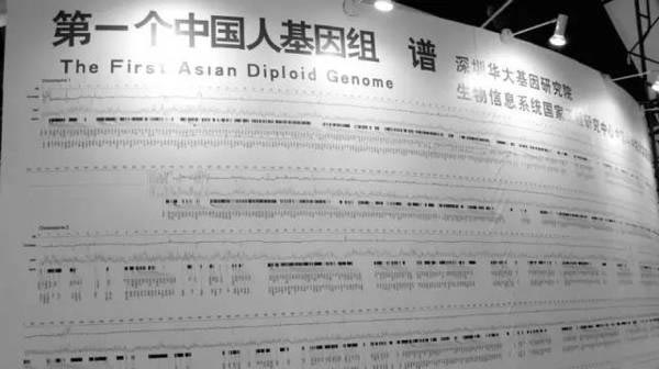 人类基因组妄想