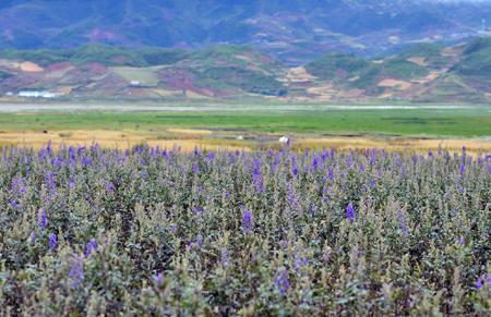 008PG国际(中国集团)-官方网站