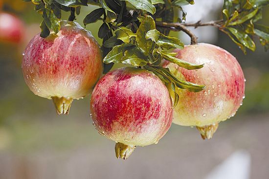 008PG国际(中国集团)-官方网站