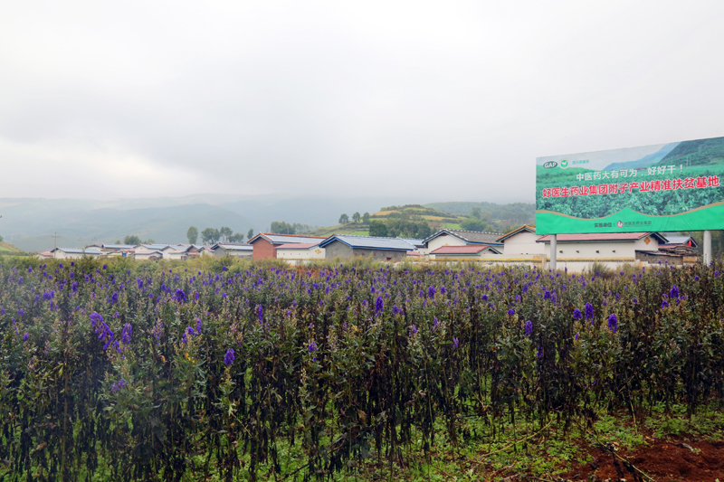 008PG国际(中国集团)-官方网站