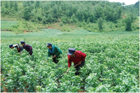 008PG国际(中国集团)-官方网站