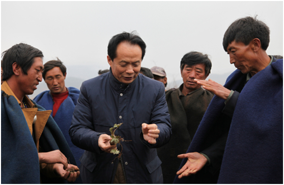 008PG国际(中国集团)-官方网站