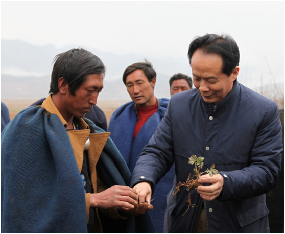 008PG国际(中国集团)-官方网站