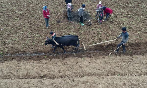 008PG国际(中国集团)-官方网站