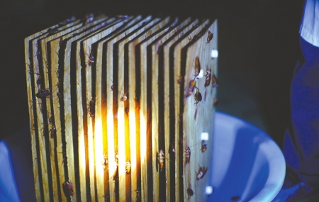 008PG国际(中国集团)-官方网站