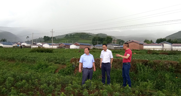 008PG国际(中国集团)-官方网站