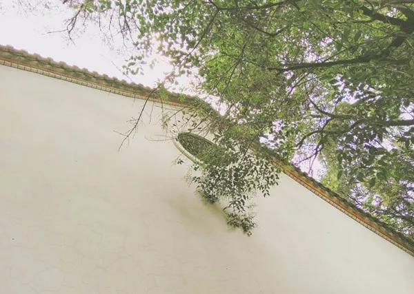 008PG国际(中国集团)-官方网站