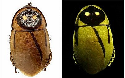 008PG国际(中国集团)-官方网站