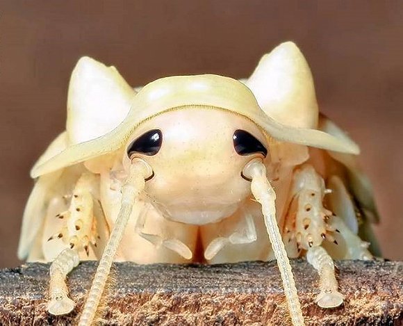 008PG国际(中国集团)-官方网站