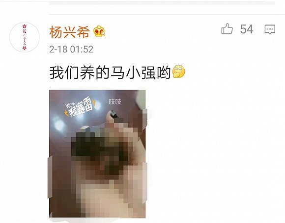 008PG国际(中国集团)-官方网站