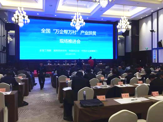 008PG国际(中国集团)-官方网站