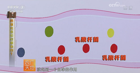 008PG国际(中国集团)-官方网站