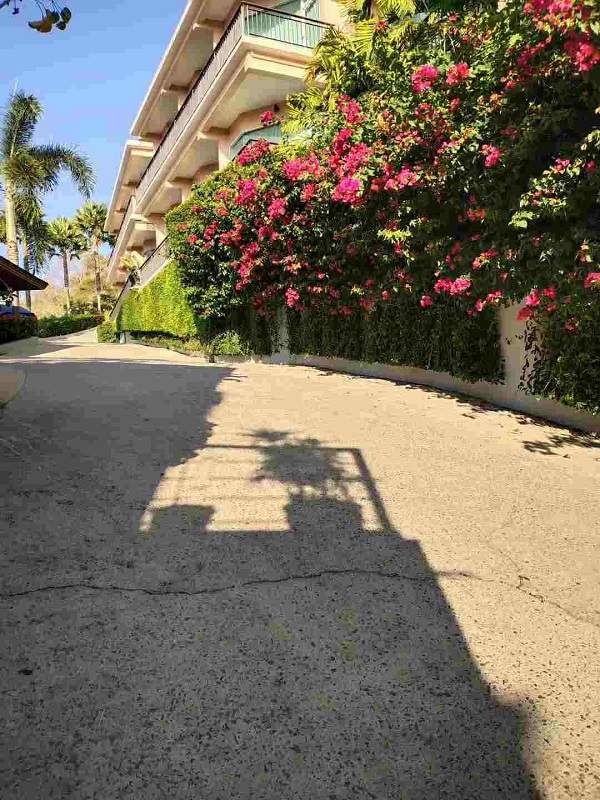 008PG国际(中国集团)-官方网站