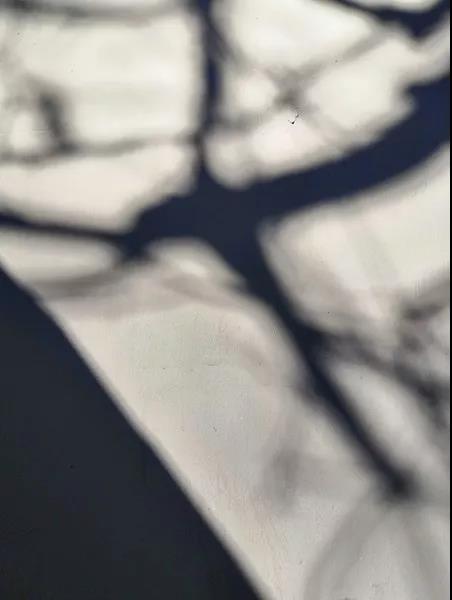 008PG国际(中国集团)-官方网站