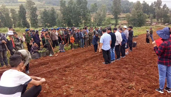 008PG国际(中国集团)-官方网站