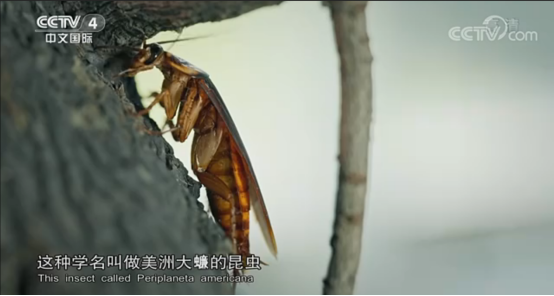 008PG国际(中国集团)-官方网站