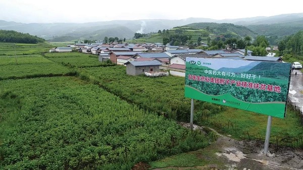 008PG国际(中国集团)-官方网站