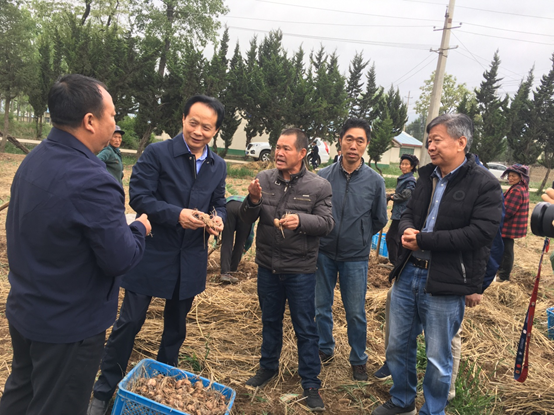 008PG国际(中国集团)-官方网站