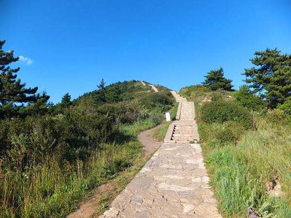 008PG国际(中国集团)-官方网站