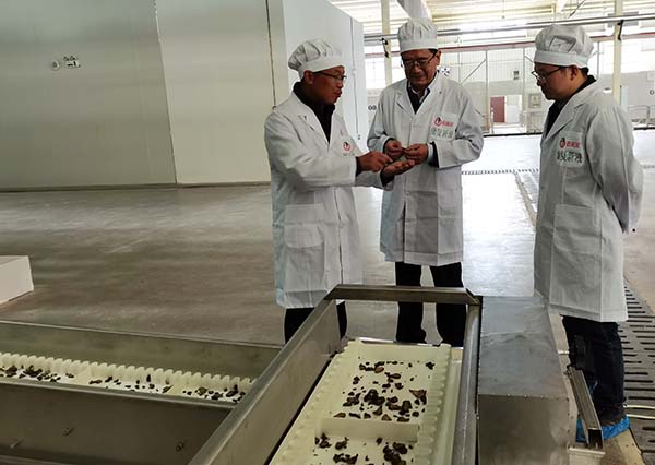 008PG国际(中国集团)-官方网站