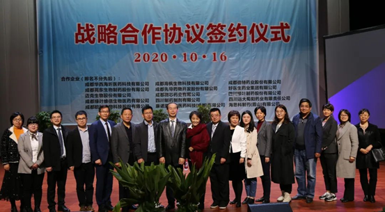 008PG国际(中国集团)-官方网站