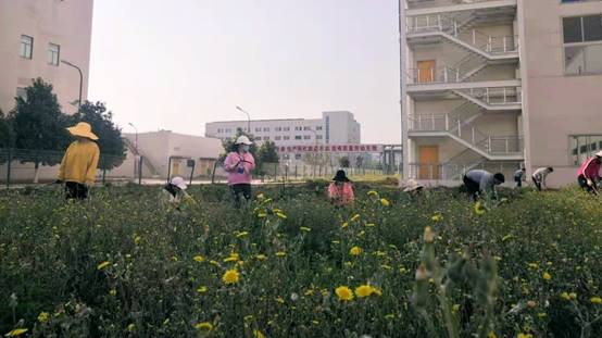 008PG国际(中国集团)-官方网站