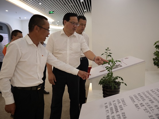 008PG国际(中国集团)-官方网站