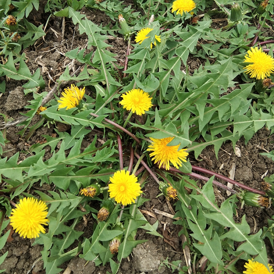 008PG国际(中国集团)-官方网站