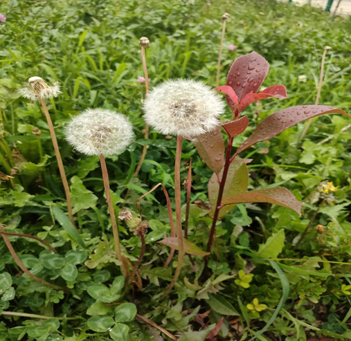 008PG国际(中国集团)-官方网站