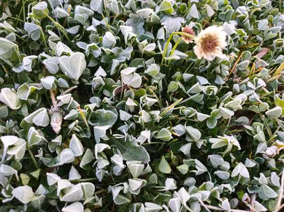 008PG国际(中国集团)-官方网站