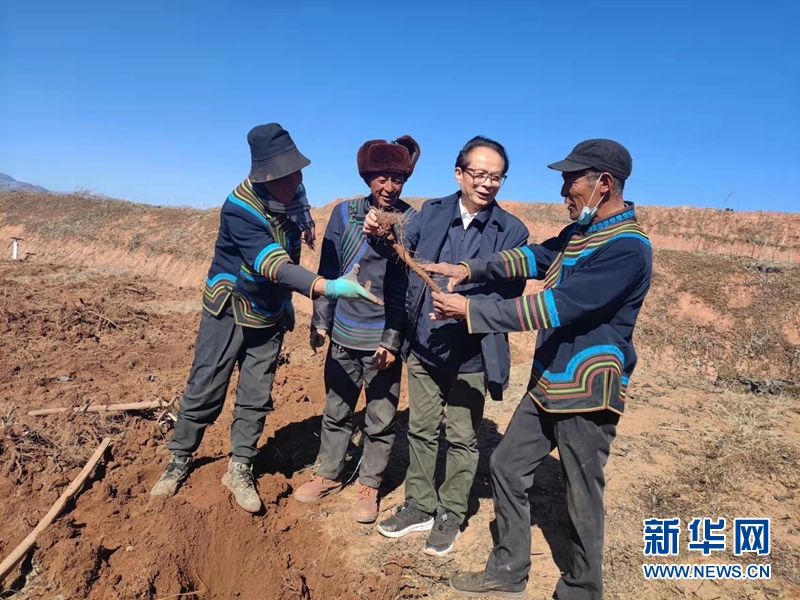 008PG国际(中国集团)-官方网站