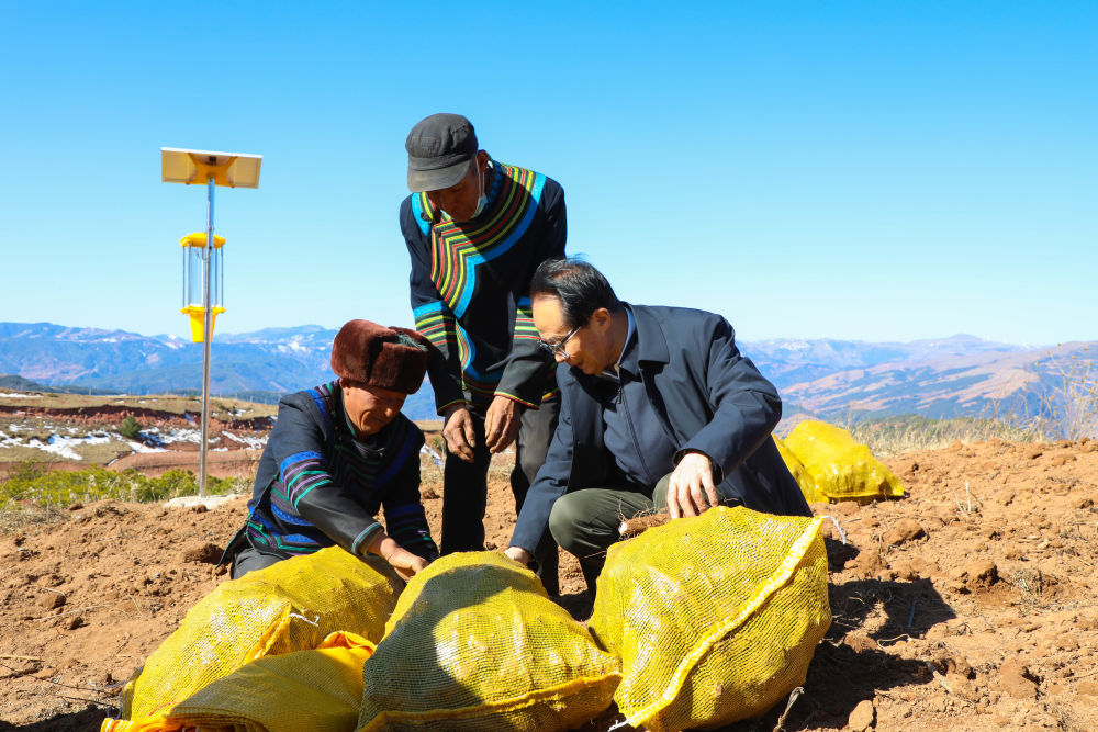 008PG国际(中国集团)-官方网站