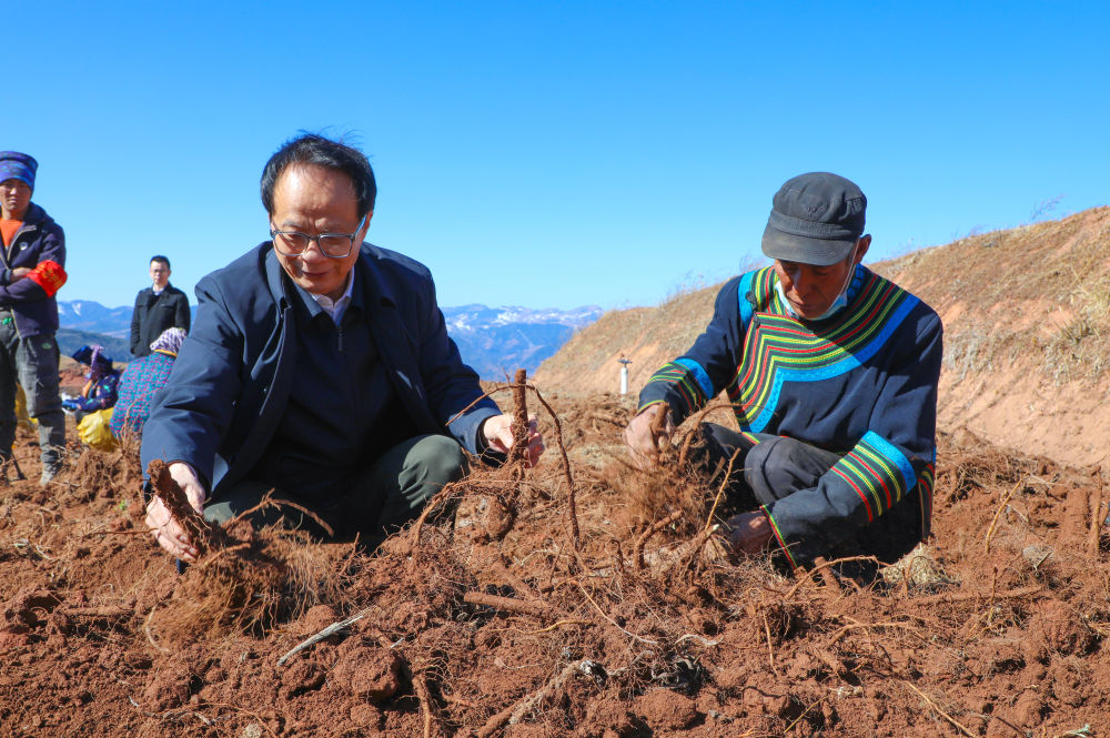 008PG国际(中国集团)-官方网站