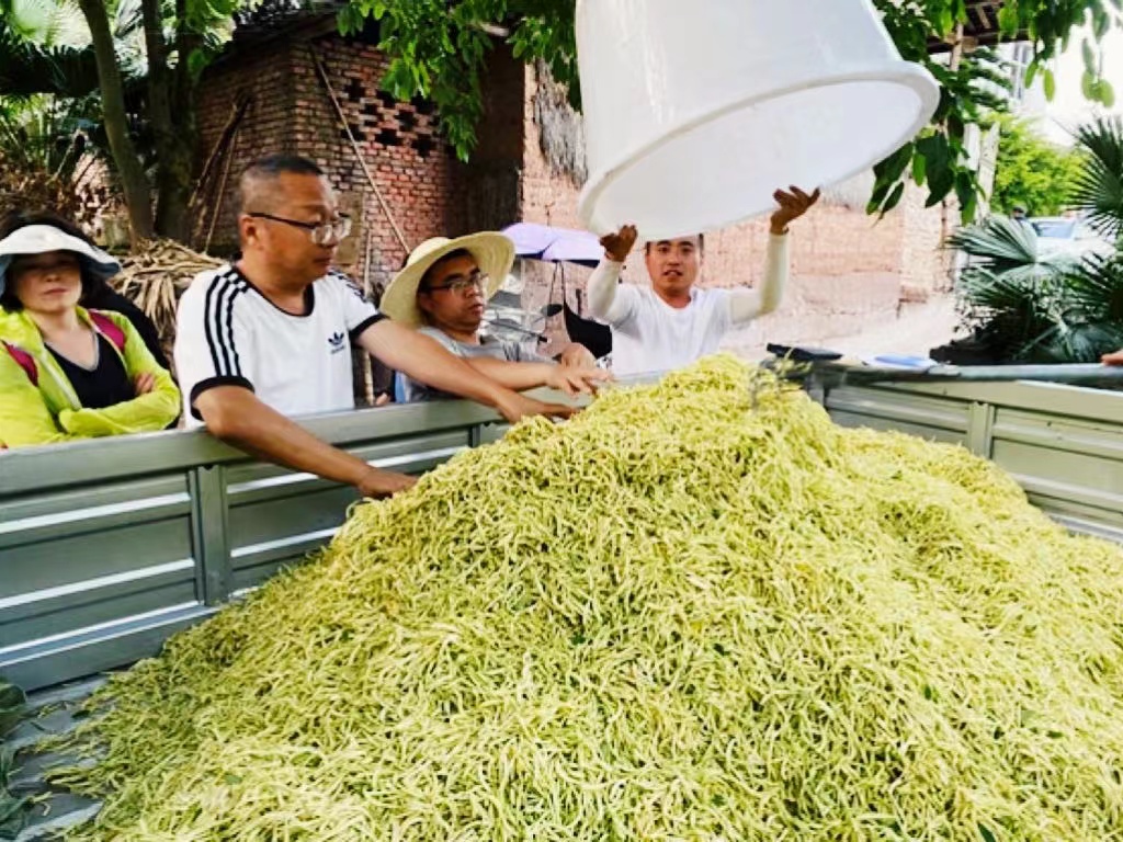 008PG国际(中国集团)-官方网站