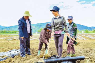 008PG国际(中国集团)-官方网站